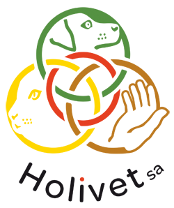 Logo Holivet SA